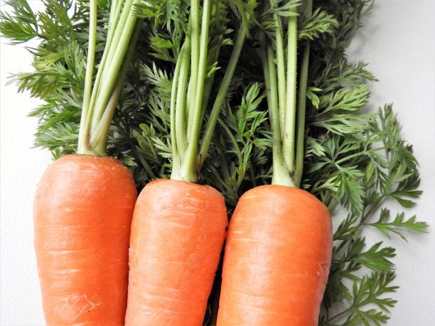 新鲜蔬菜图片下载