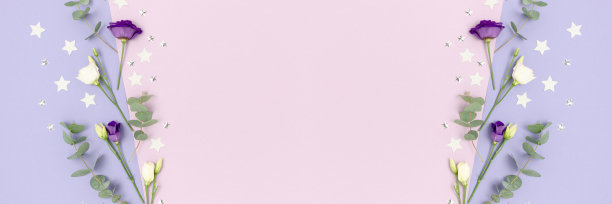 假日概念与桉树，口叶花和星星五彩纸屑在紫色柔和的背景。带有文本位置的横幅。图片下载