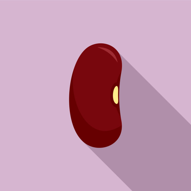 有机芸豆图标扁豆风格图片下载