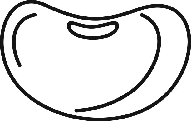 食品芸豆图标轮廓风格图片下载