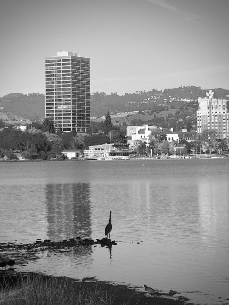 梅里特湖黑与白图片下载