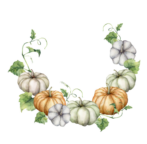 水彩秋天花环与南瓜和树叶。手绘框架与葫芦孤立在白色的背景。花卉插图设计，印刷，织物或背景。图片下载