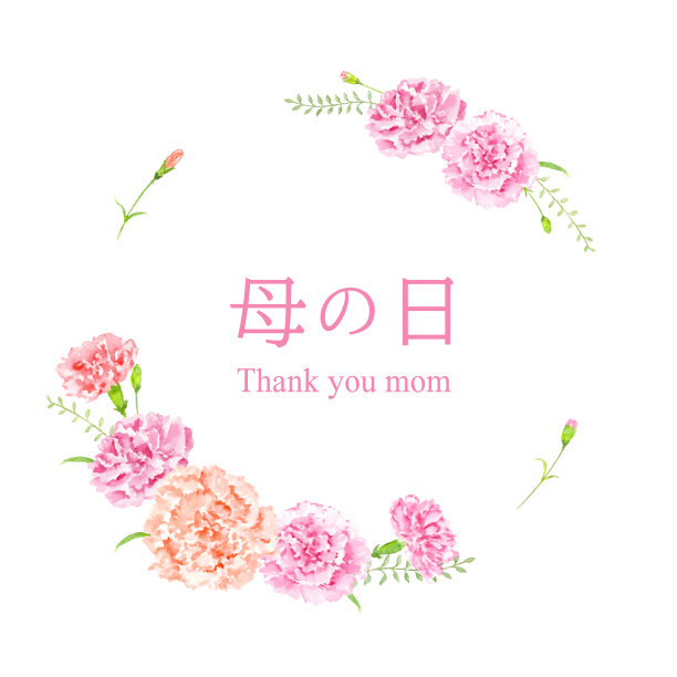 母亲节框架康乃馨与水彩画。图片下载