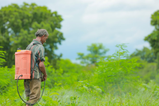 印度农民和工人在田间喷洒农药图片下载