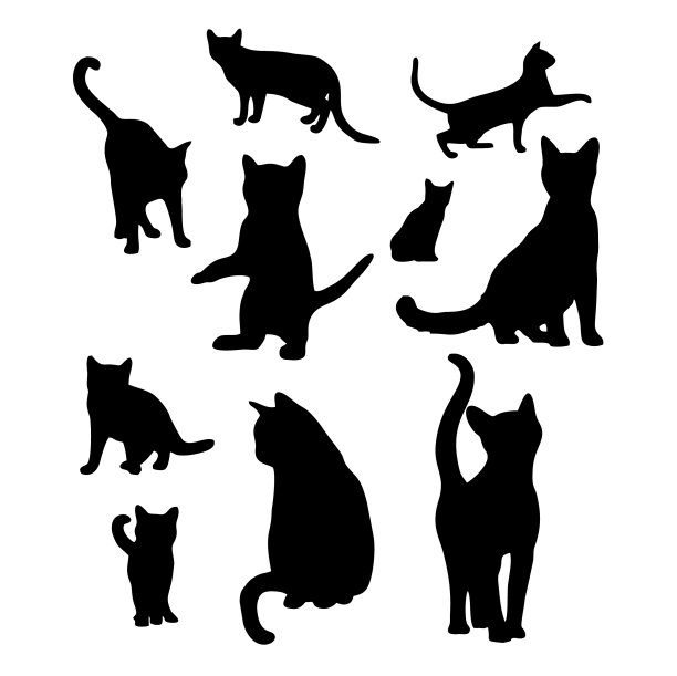 设置黑猫的剪影玩猫图片下载