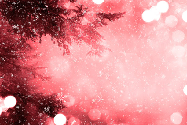 圣诞树新年2021 noel背景图片下载