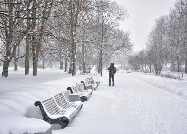 圣彼得堡库拉基纳别墅公园遭遇暴风雪。图片下载