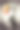玫瑰的凋谢之美，脆弱而依然美丽。双重曝光图片下载