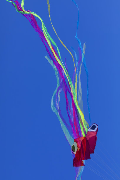 章鱼风筝与鲜艳的颜色飞行。图片下载