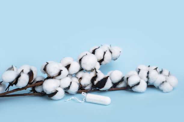 棉花的概念。女性保健，蓝色背景棉条，私密卫生，妇科月经周期。特写照片图片下载