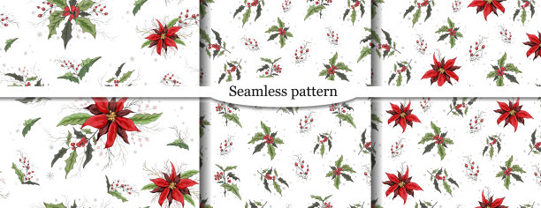 套无缝冬季图案，红冬青浆果，冬青叶子。现代，手绘，动态插图在现实主义风格。墙纸，纸，你的想法。复古风格。图片下载