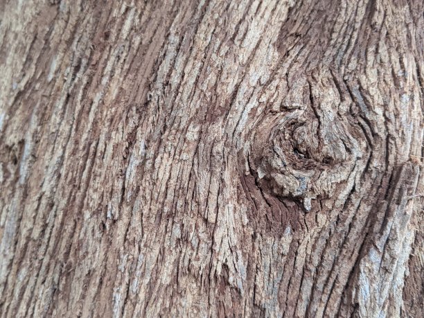 分解树皮图片下载