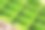 接近不同的药片准备在药片盒图片下载