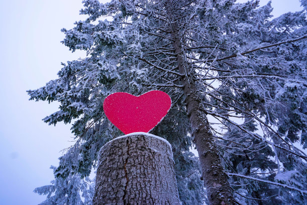 树干带着一颗红色的心在冬天的黑森林景观中，Baden-Württemberg，德国图片下载