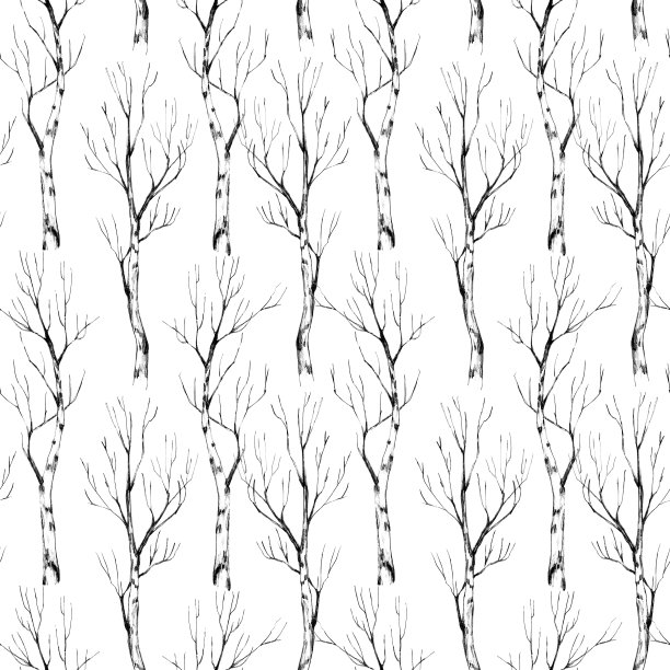 无缝图案与桦树。铅笔绘制插图。印花用于墙纸设计，织物，纺织品，图片下载