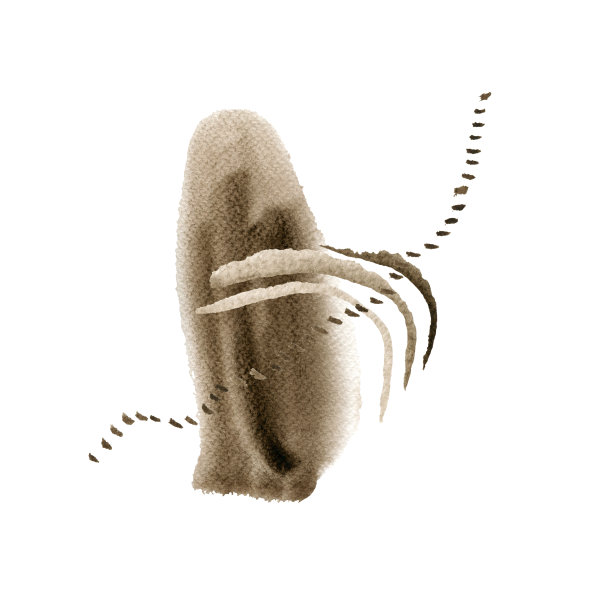 水彩抽象手绘插图与深褐色纹理形状，线和点。一张白色背景的棕色方形图片。图片下载