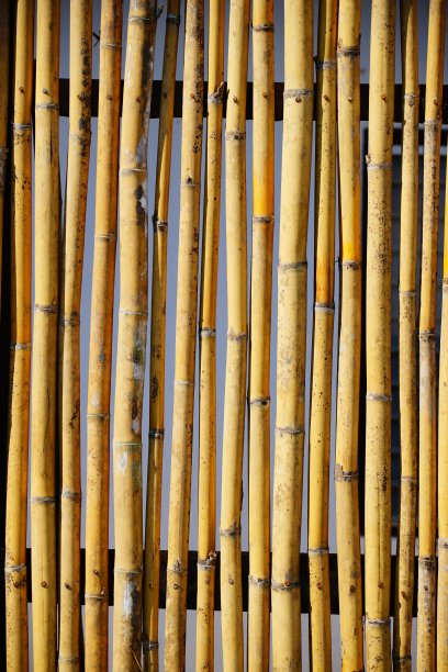 竹结构图片下载