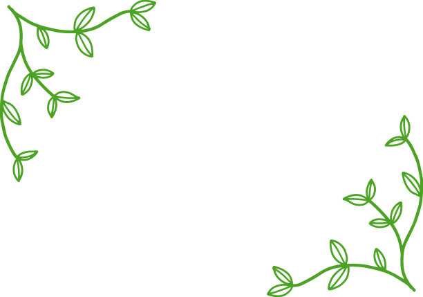 从各种各样的叶子在白色的背景与空间绿色的花卉背景图片下载