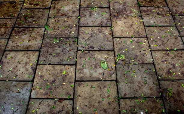 在季风和雨季铺设的人行道。城市中沿着道路的人行道。图片下载