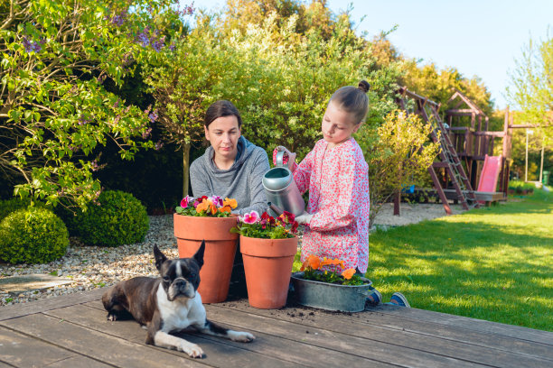 母亲和女儿在花园里花盆里种花——一起工作的概念，与家人一起度过闲暇时光图片下载