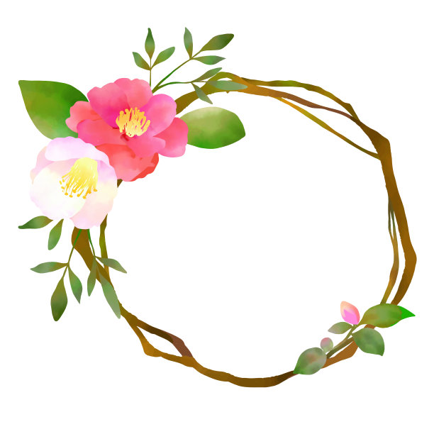 红白茶花相框，水彩插图图片下载