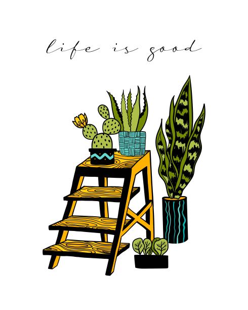 矢量插图植物，仙人掌，芦荟和不为海报，卡片，横幅，背景图片下载