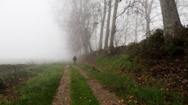 秋天里光秃秃的树带着一个人走过雾。农村景观。图片下载