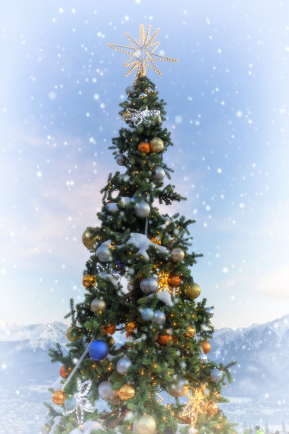 波兰假期-圣诞期间在塔特拉山脉图片下载