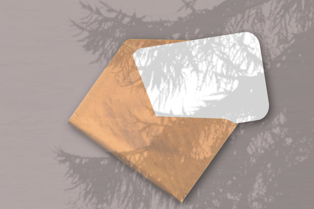 一个信封和一张有纹理的白纸在桌子的肌肉背景。模型覆盖的植物阴影。自然光从云杉的树枝上投射阴影图片下载