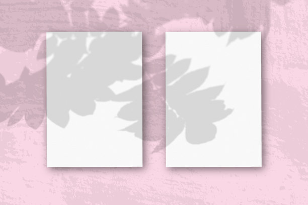 2张垂直纹理的白纸在柔软的粉红色桌子的背景。模型覆盖的植物阴影。自然光从花楸树枝上投射阴影。水平方向图片下载