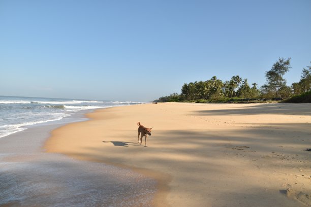 阿拉伯海图片下载