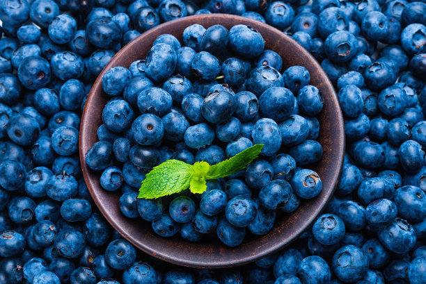 新鲜蓝莓背景。图片下载
