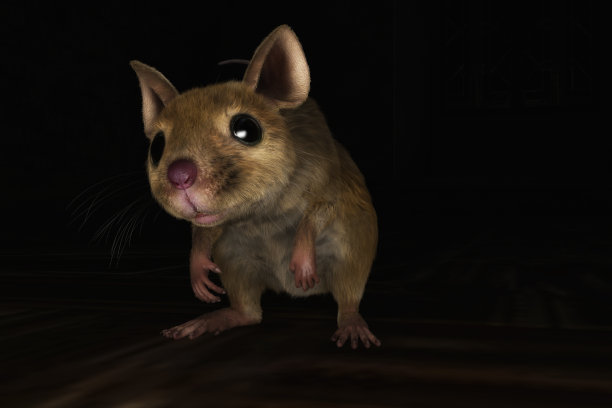 一个小家鼠的3D插图图片下载