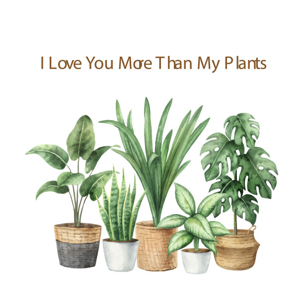 水彩与家庭植物在陶瓷图片下载