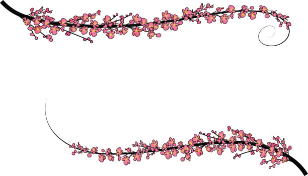 矢梅花花缘图片下载