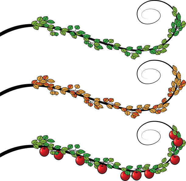 向量苹果树边界背景图片下载