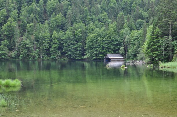 托普利茨西图片下载