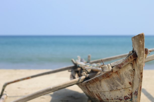 传统的船停泊在海滩上图片下载