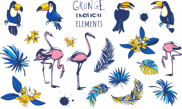 热带夏日派对设计集棕榈叶图片下载