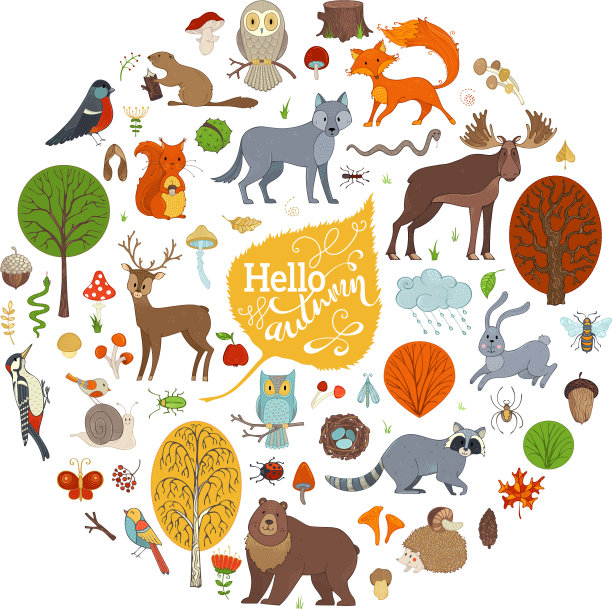 大set野生动物和秋季林地图片下载