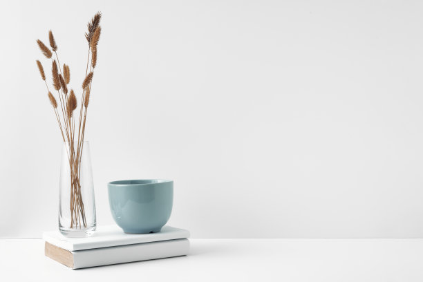 一个杯子和一个盆花，一个透明的花瓶，白色的背景。室内装饰采用环保材料，极简主义。复制空间，模拟图片下载