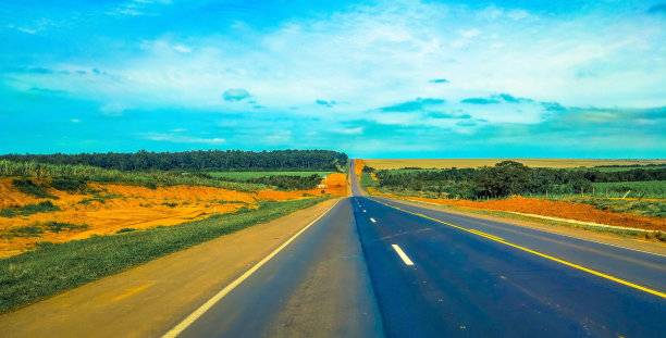 甘蔗种植园之间的道路。图片下载