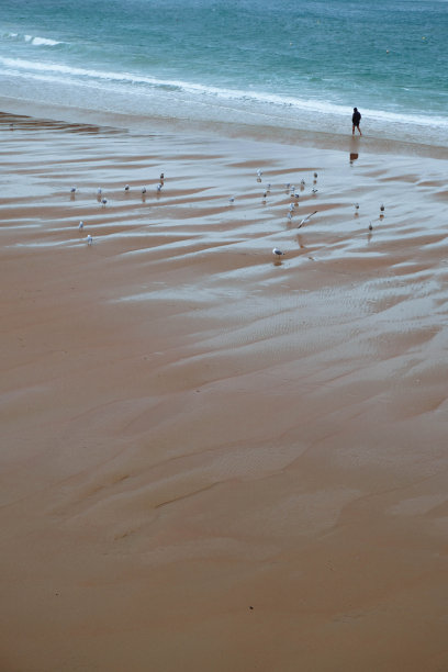 在海边散步的人图片下载