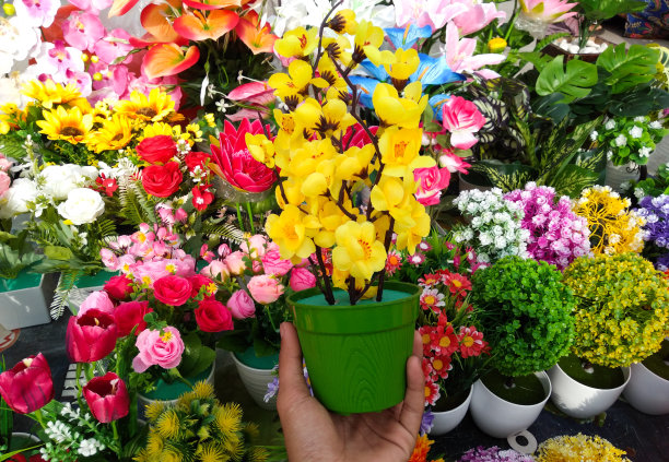 各种美丽的彩色花卉装饰图片下载