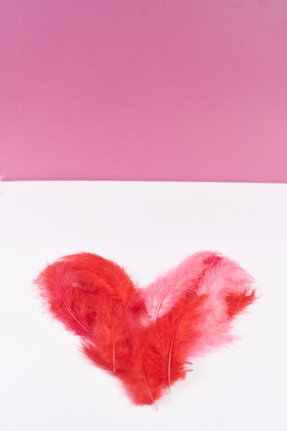 情人节贺卡的概念。图片下载