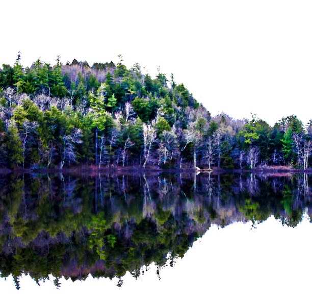 彩色照片的树木反射在平静的湖在秋季股票照片图片下载