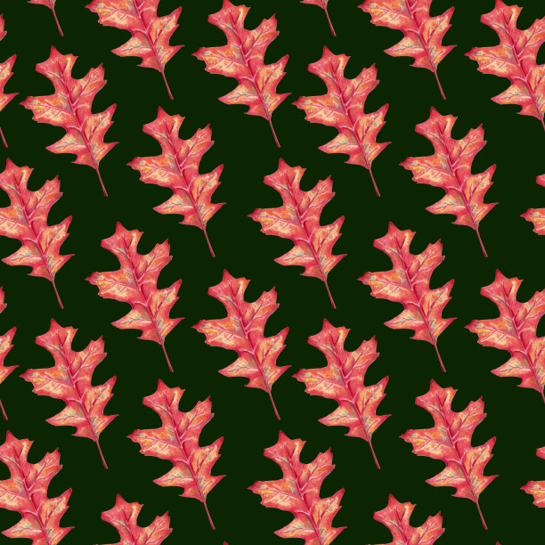 秋栎叶水彩，无缝图案在黑暗的背景图片下载