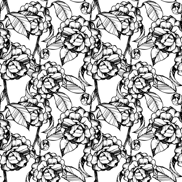 儿童及成人涂色书，黑白、墨、笔毛、手工、山茶、叶、花、芽、图案、枝带花、图案图片下载