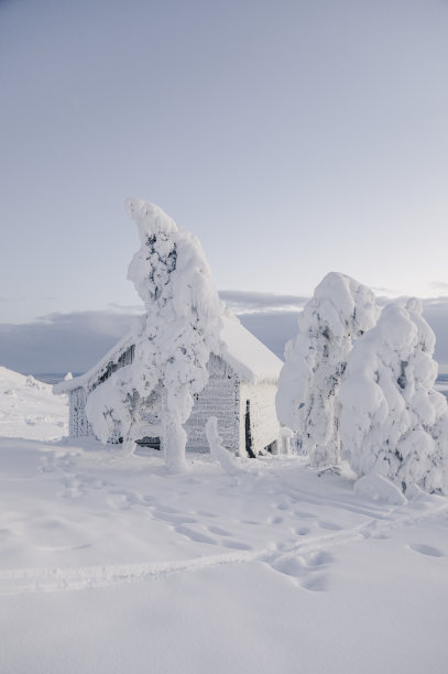 冬季雪景：覆盖着积雪的冷杉树、老棚屋和群山图片下载