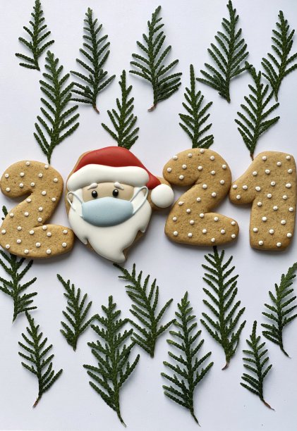 戴面具的圣诞老人。概念上的寒假图片下载